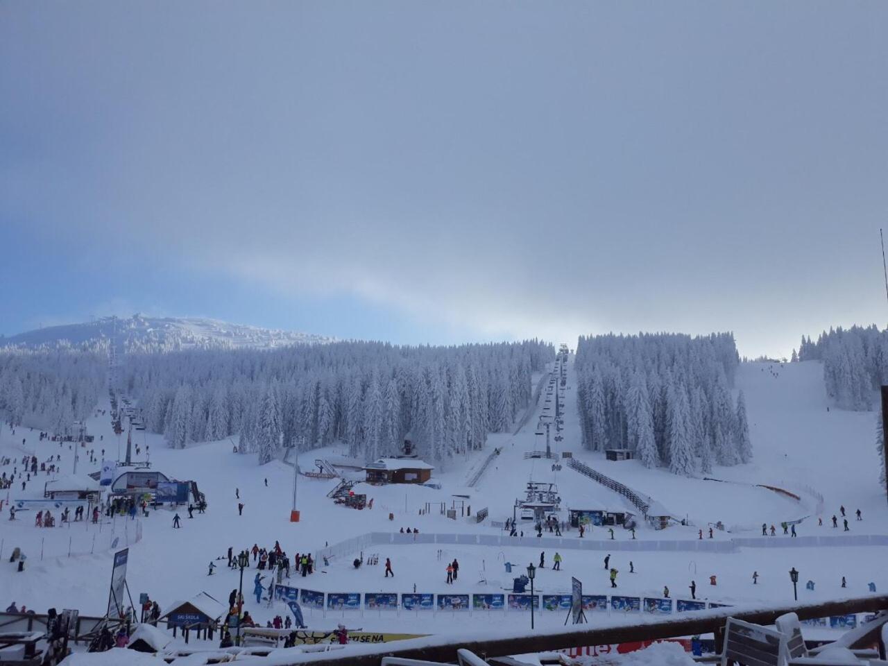 Holiday Home Elena Kopaonik Kültér fotó