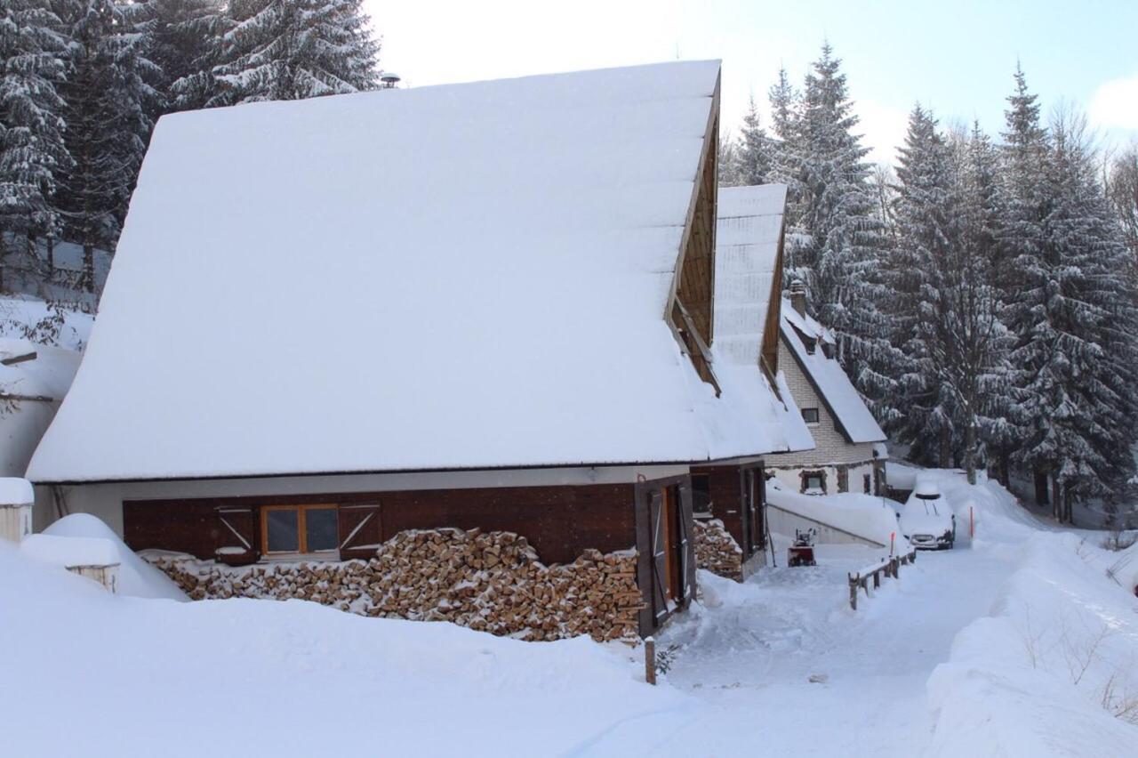 Holiday Home Elena Kopaonik Kültér fotó