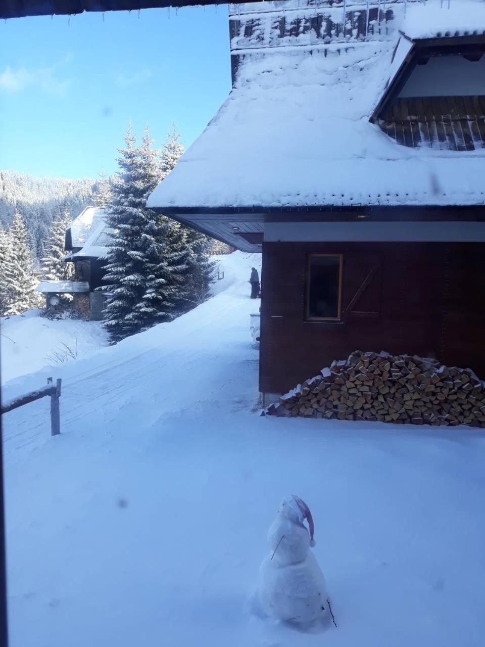 Holiday Home Elena Kopaonik Kültér fotó